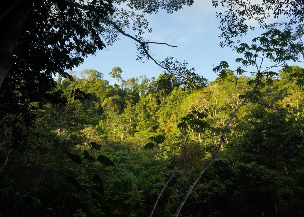 Amazonita Ecolodge Dos Brazos Exterior foto