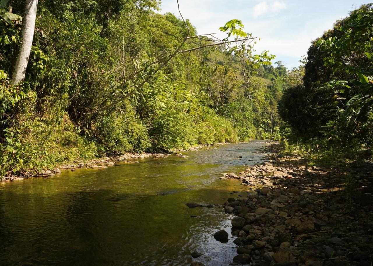 Amazonita Ecolodge Dos Brazos Exterior foto
